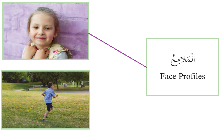 الملامح الملامح